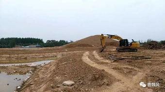 最新实事爆料,最新实事爆料引发社会热议